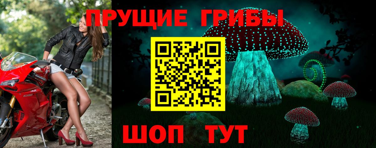 Галлюциногенные грибы Cubensis  Псилоцибиновые грибы ЛСД  Омск  Вход с VPN 